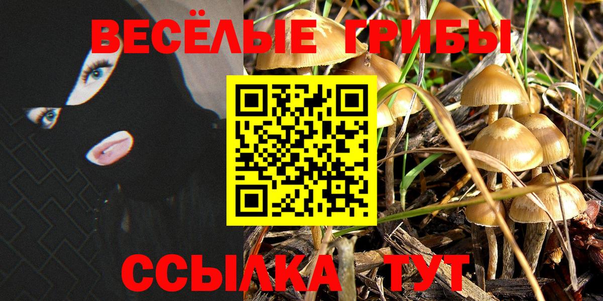 Кольчугино  Галлюциногенные грибы прущие грибы  цена наркотик  Вход с VPN 